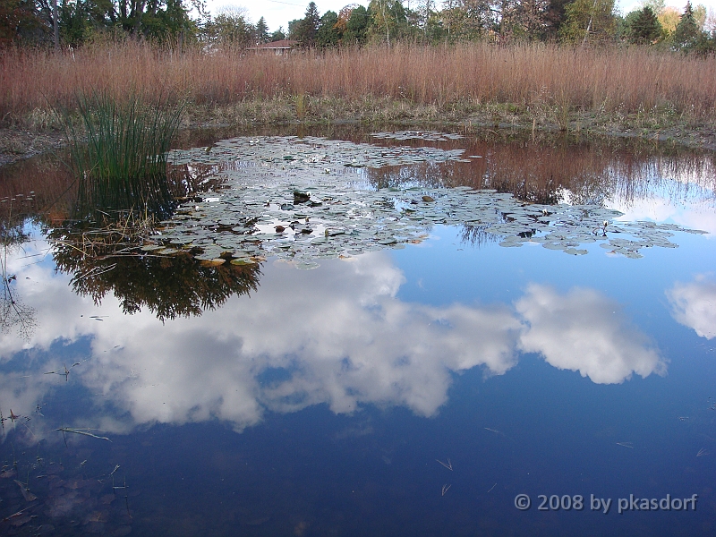 25 Shiawassee National Wildlife Refuge [2008 Nov 5].JPG - Scenes from Shiawassee National Wildlife Refuge in Michigan.